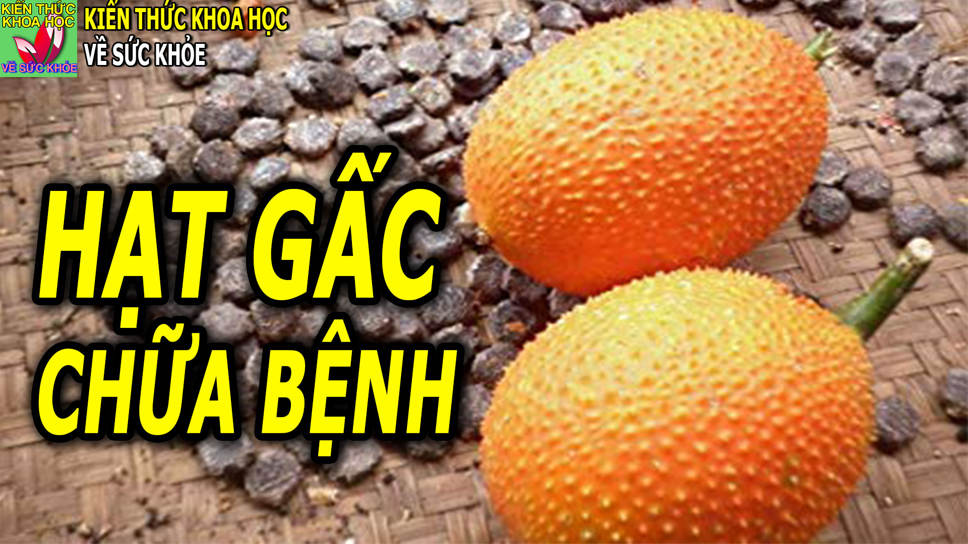 hat-gac-ngam-voi-thu-nay-chua-benh-cuc-hay-nhat-la-benh-xuong-khop