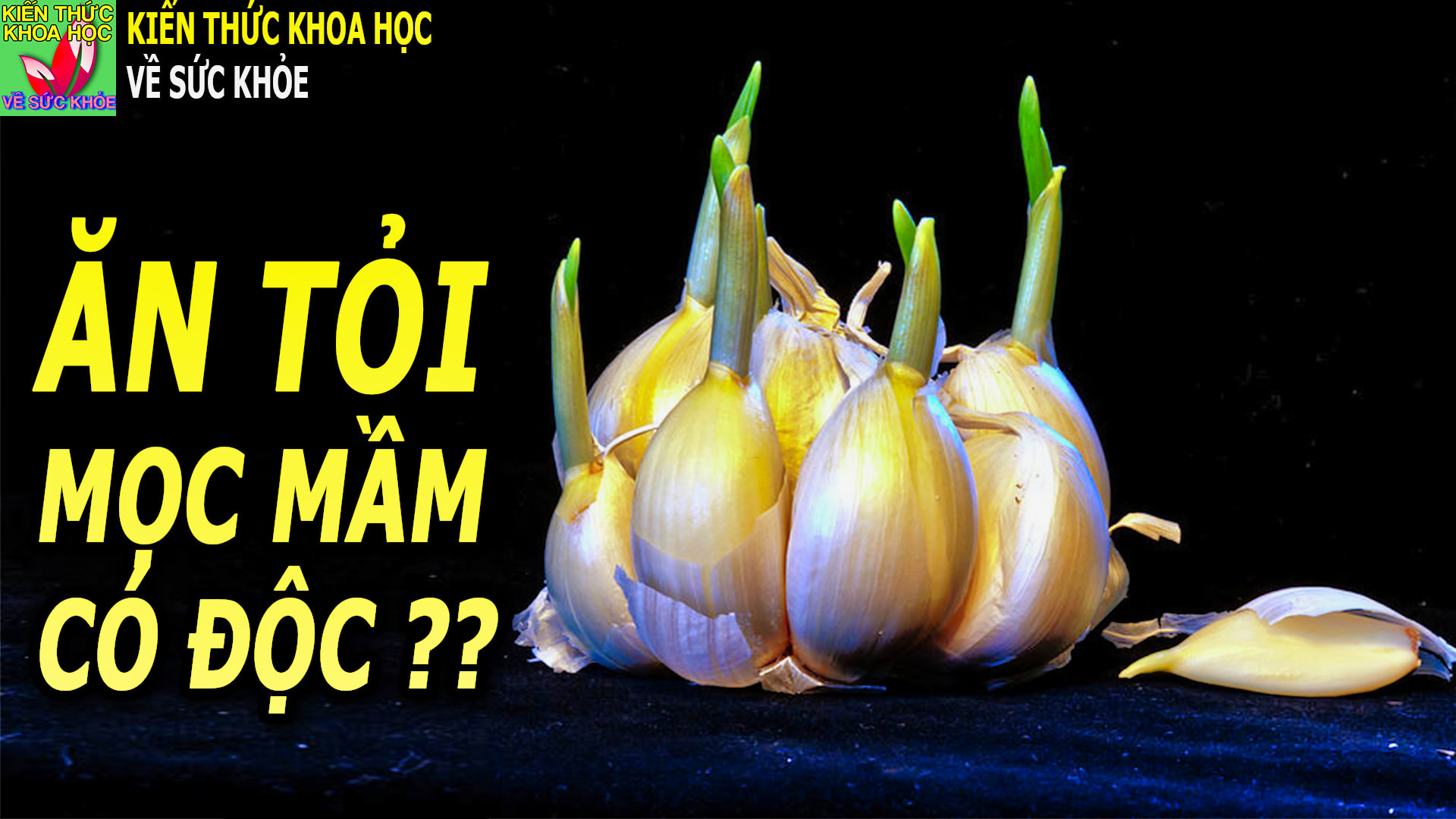 toi-moc-mam-co-an-duoc-khong-an-toi-moc-mam-co-sao-khong