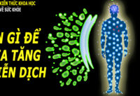 an-gi-de-tang-cuong-he-mien-dich