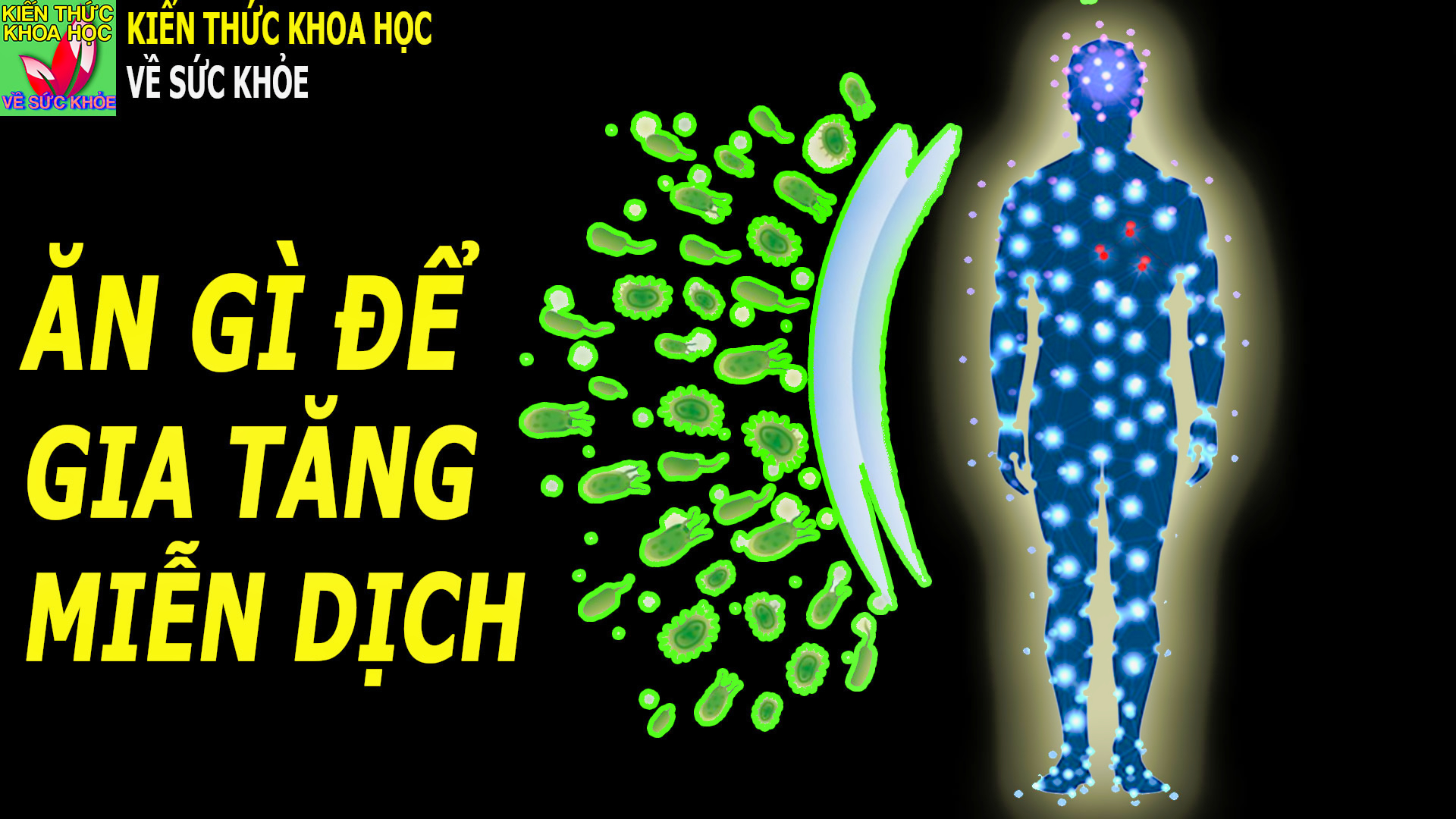 an-gi-de-tang-cuong-he-mien-dich