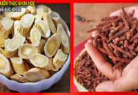 bac-si-y-duoc-chia-se-cach-tang-cuong-he-mien-dich