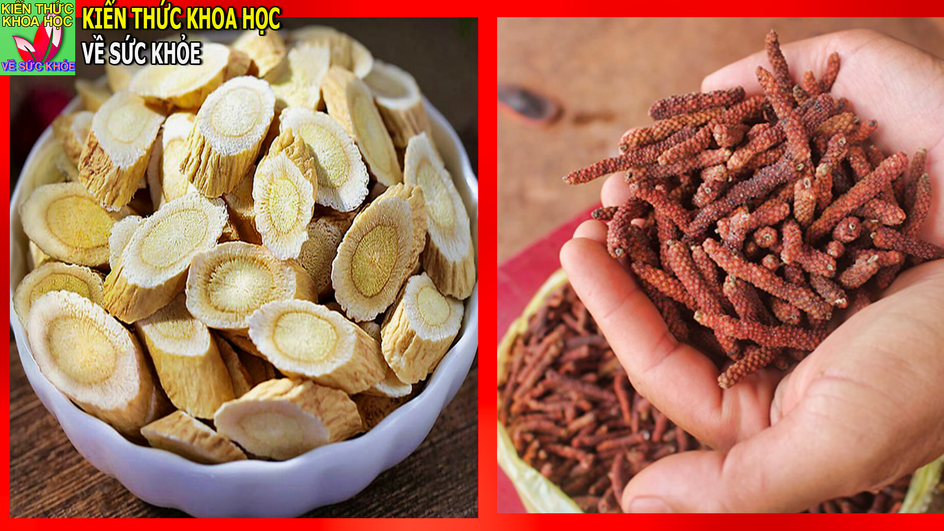 bac-si-y-duoc-chia-se-cach-tang-cuong-he-mien-dich