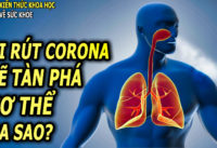 co-vy-tac-dong-den-co-the-nhu-the-nao