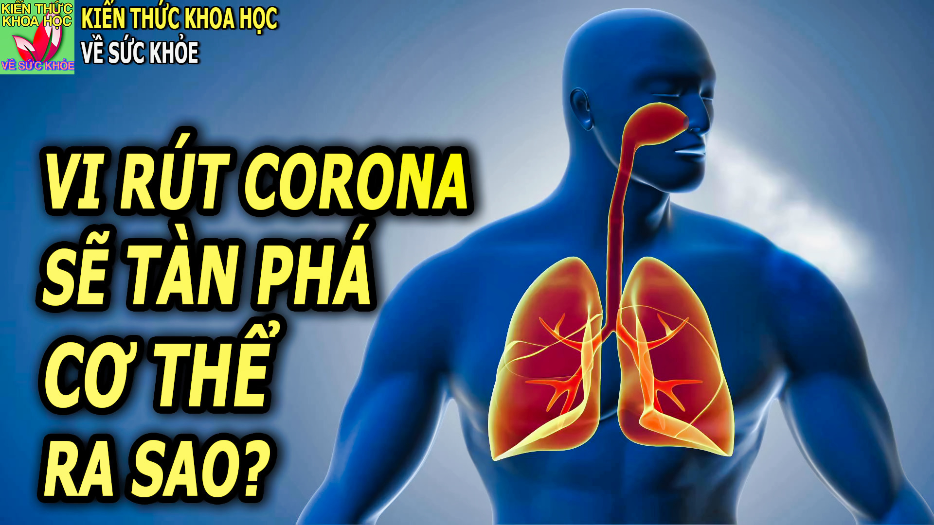 co-vy-tac-dong-den-co-the-nhu-the-nao