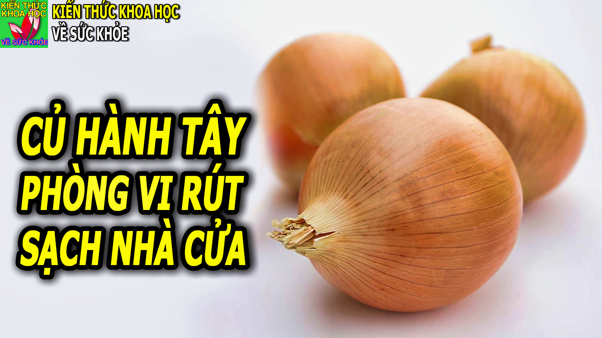 dat-vai-cu-hanh-tay-trong-nha-ban-se-thay-dieu-ky-dieu-xay-ra