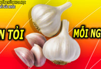 an-toi-moi-ngay-co-the-nhan-ve-8-loi-ich-suc-khoe-khong-ngo