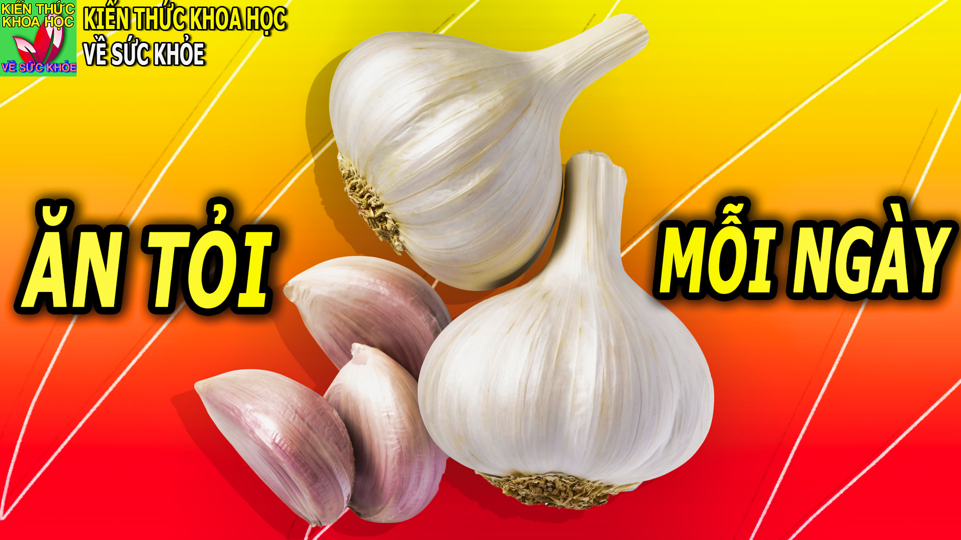 an-toi-moi-ngay-co-the-nhan-ve-8-loi-ich-suc-khoe-khong-ngo