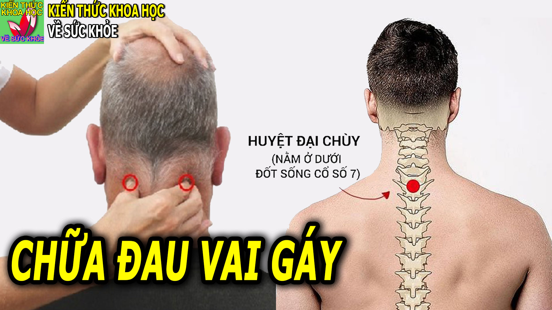 bam-huyet-chua-dau-vai-gay-hieu-qua-chi-vai-phut-moi-ngay