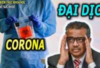 co-vy-tien-trien-nhanh-can-chu-dong-phong-ngua