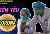 khoa-hoc-tim-ra-diem-yeu-cua-co-vy