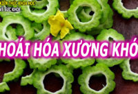 mon-an-bai-thuoc-giam-dau-nhuc-xuong-khop-dot-song