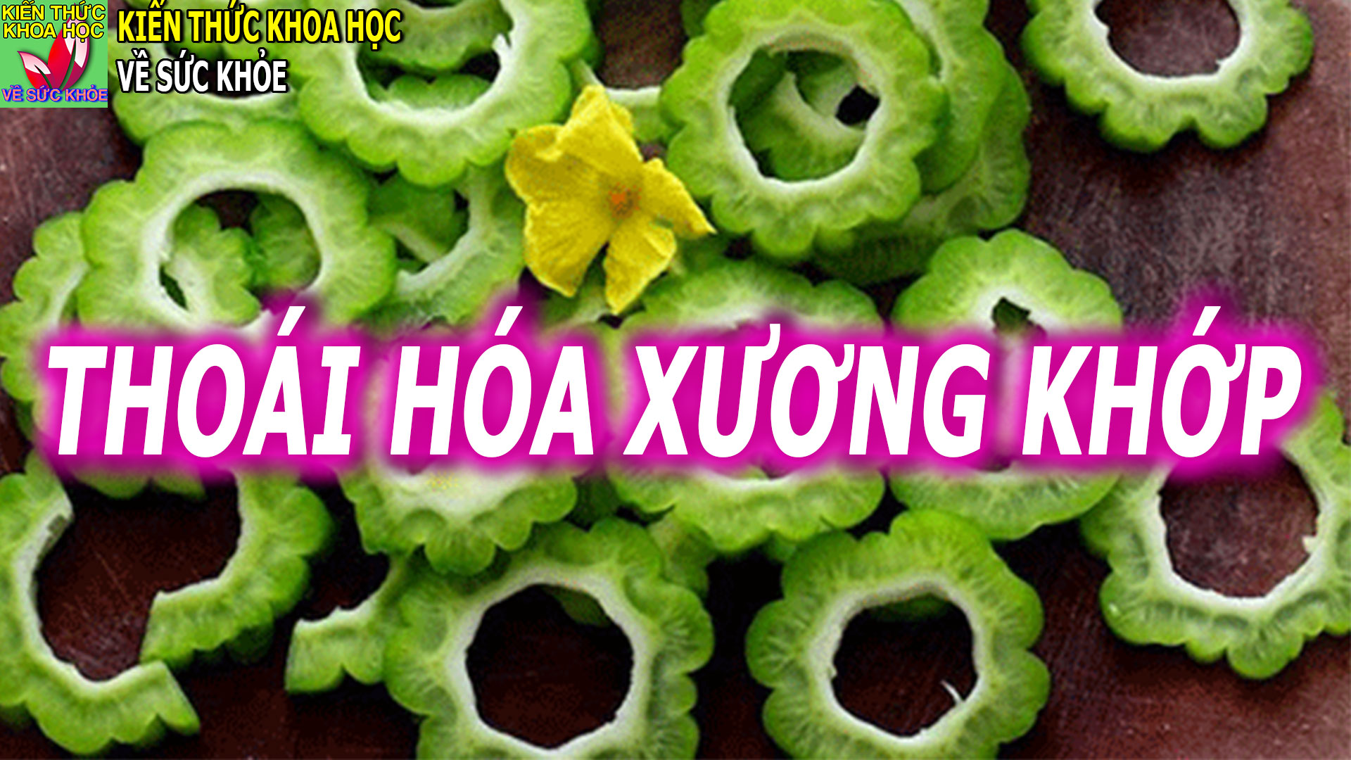 mon-an-bai-thuoc-giam-dau-nhuc-xuong-khop-dot-song