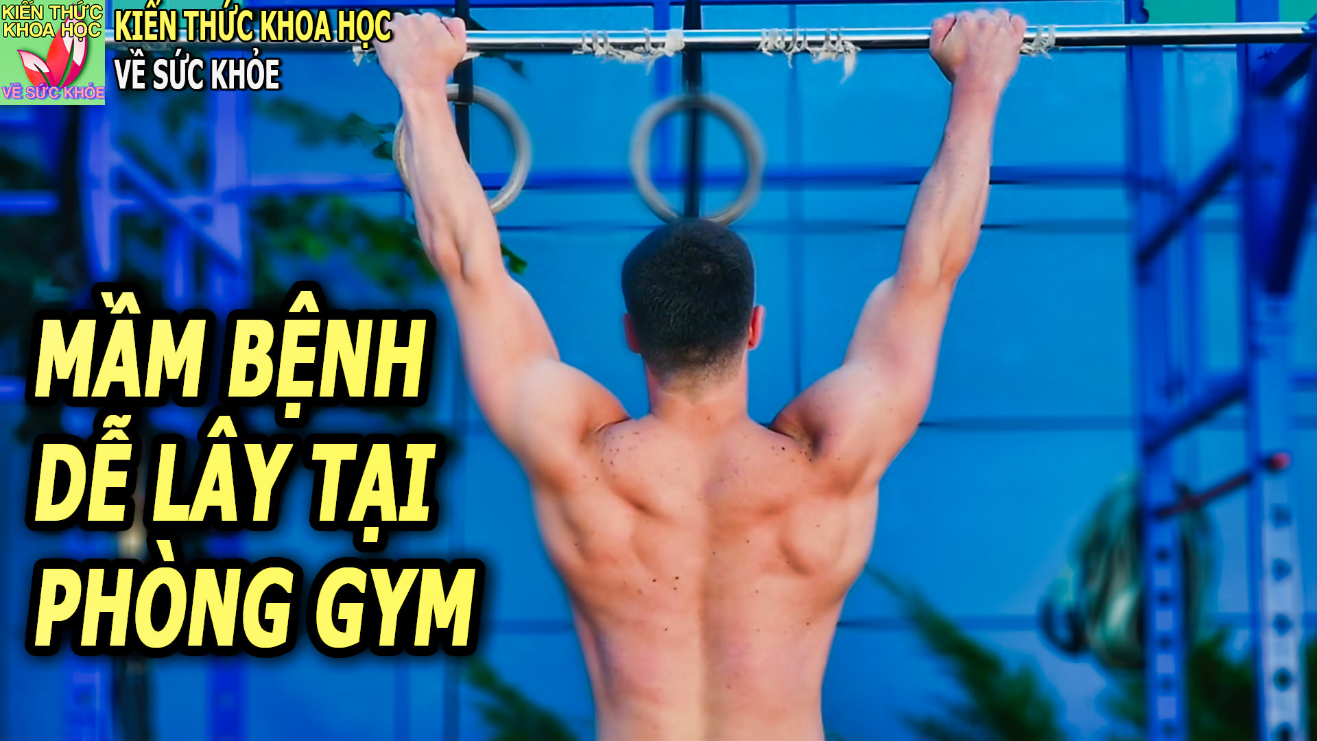 tap-gym-coi-chung-ruoc-benh-neu-khong-biet-dieu-nay