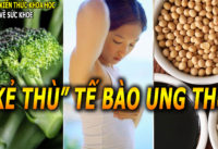 6-duong-chat-te-bao-ung-the-rat-so-nho-nhac-nhac-an-thuong-xuyen