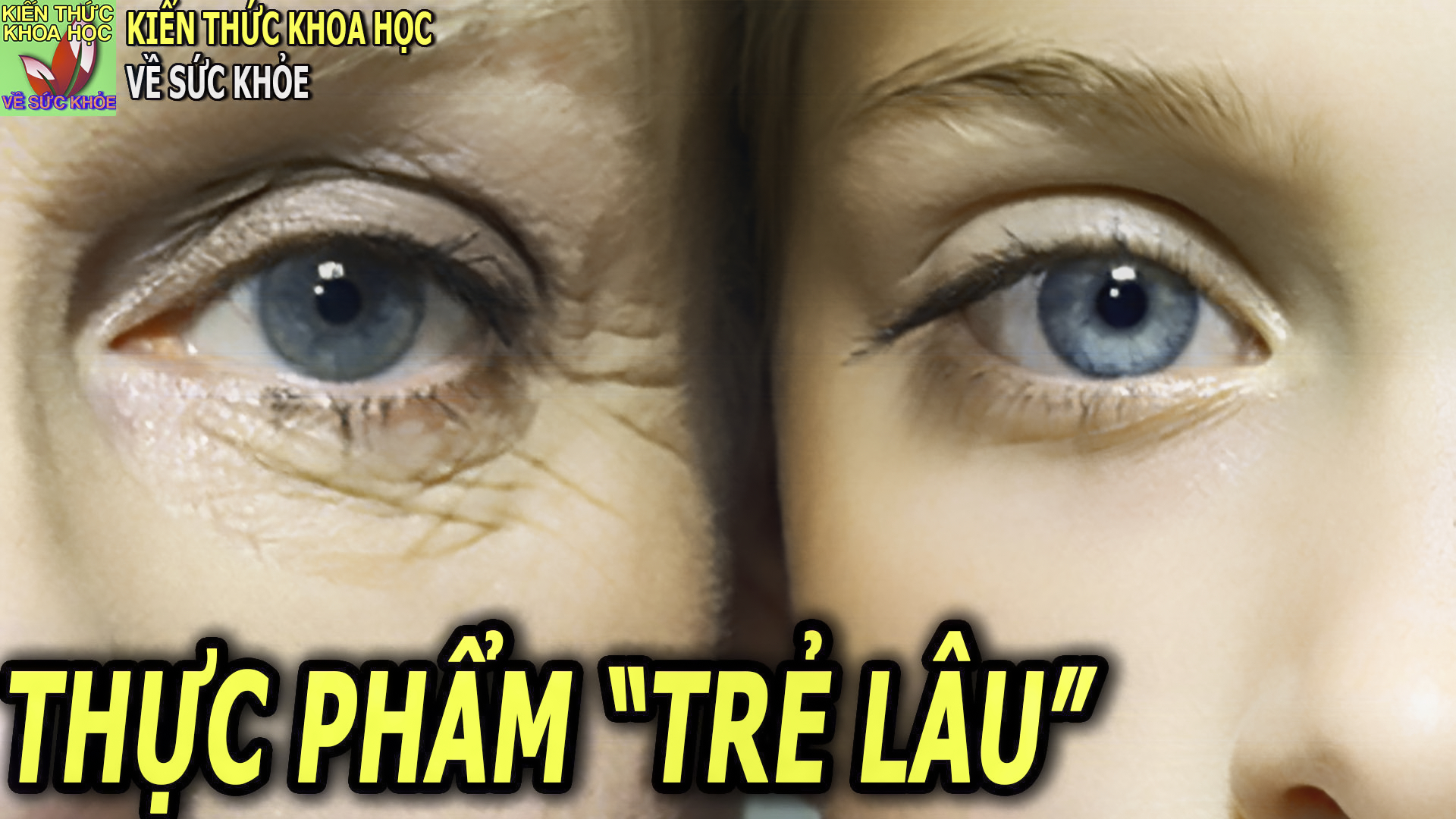 9-thuc-pham-tang-collagen-lam-cham-lao-hoa-giup-co-the-tre-lau