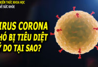 co-vy-dang-lam-kho-gioi-y-khoa-nhu-the-nao