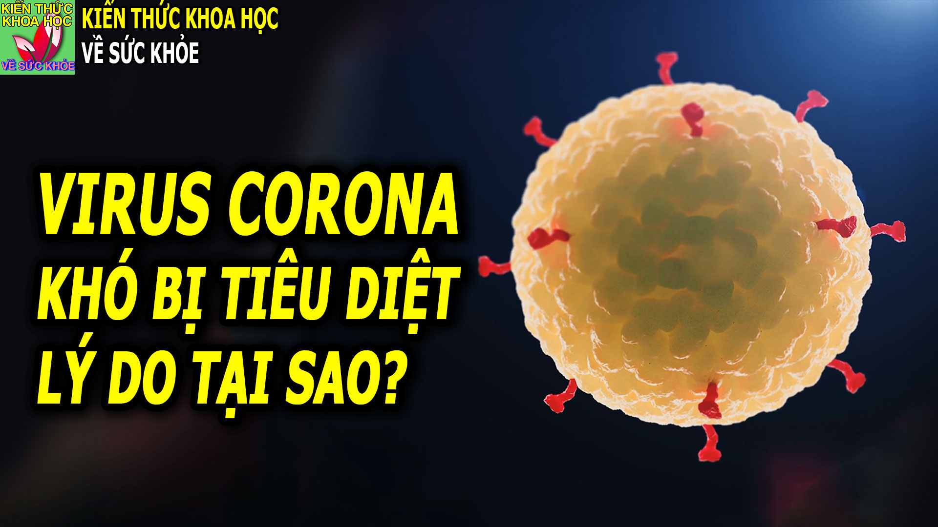 co-vy-dang-lam-kho-gioi-y-khoa-nhu-the-nao