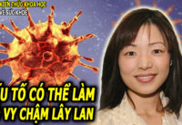 phat-hien-yeu-to-co-the-lam-cham-buoc-tien-cua-co-vy