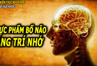 9-thuc-pham-tot-nhat-cho-nao-va-tri-nho