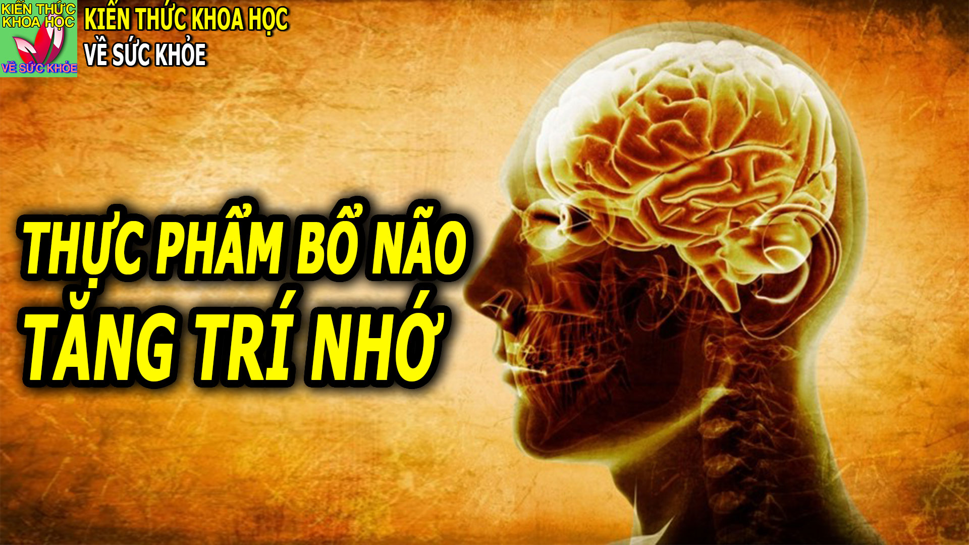 9-thuc-pham-tot-nhat-cho-nao-va-tri-nho