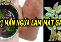 cach-dun-nuoc-tri-man-ngua-me-day-lam-mat-gan