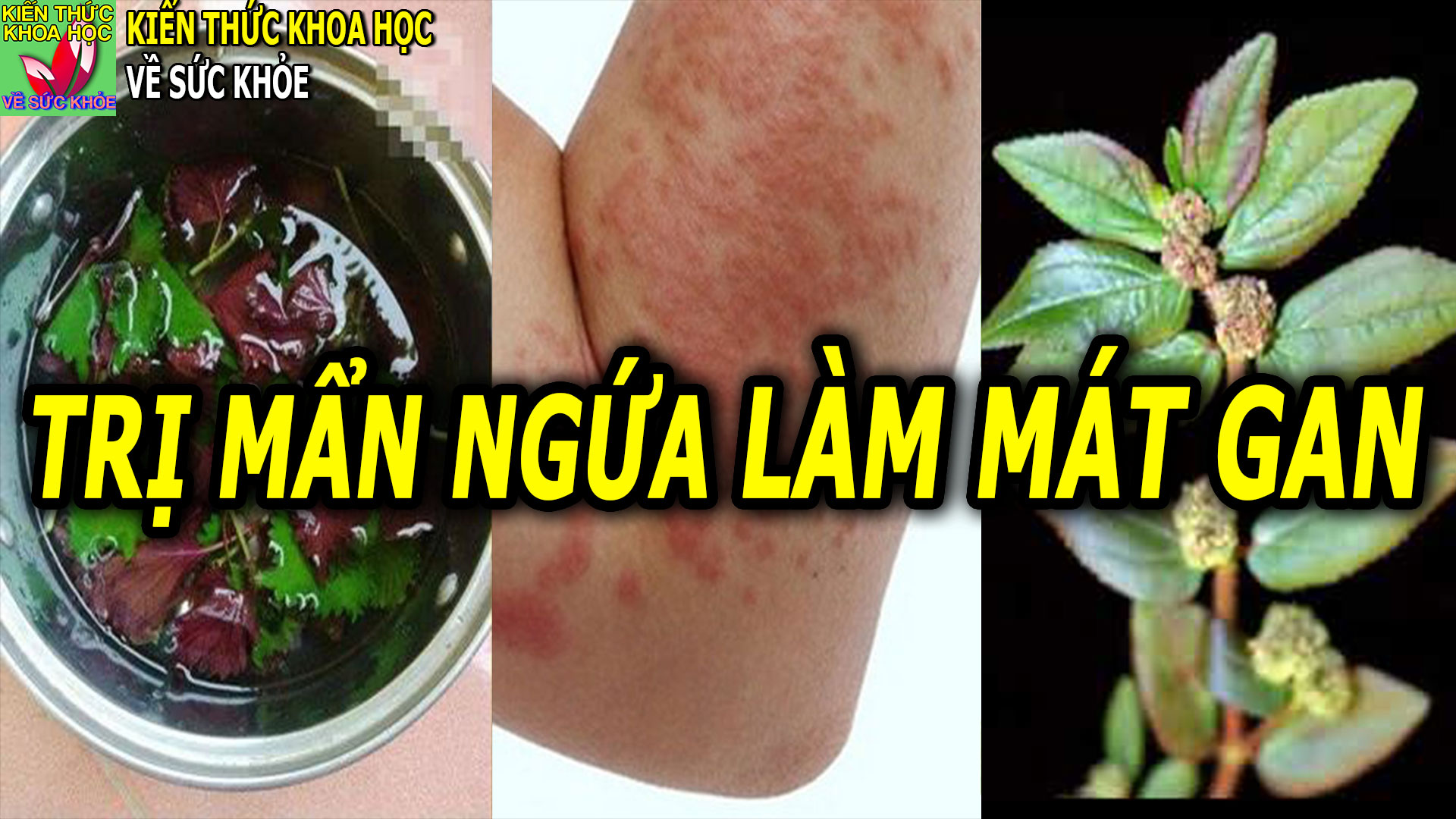 cach-dun-nuoc-tri-man-ngua-me-day-lam-mat-gan