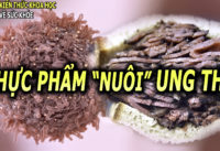 nhung-loai-thuc-pham-te-bao-ung-thu-chi-muon-ban-an-nhieu-hon