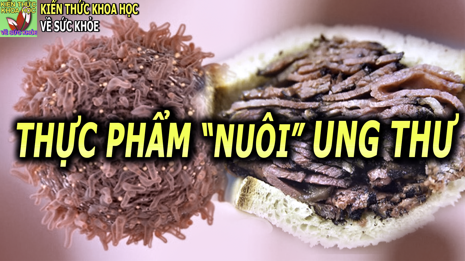 nhung-loai-thuc-pham-te-bao-ung-thu-chi-muon-ban-an-nhieu-hon