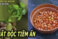 nhung-luu-y-quan-trong-truoc-khi-an-uong-ai-cung-nen-biet-som