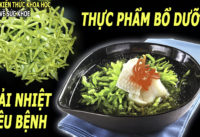 thuc-pham-bo-duong-giup-giai-nhiet-tieu-tru-benh-tat