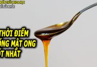 5-thoi-diem-uong-mat-ong-tot-nhat-cho-suc-khoe-giup-thanh-loc-thai-doc-co-the