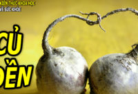 cu-den-co-tac-dung-gi