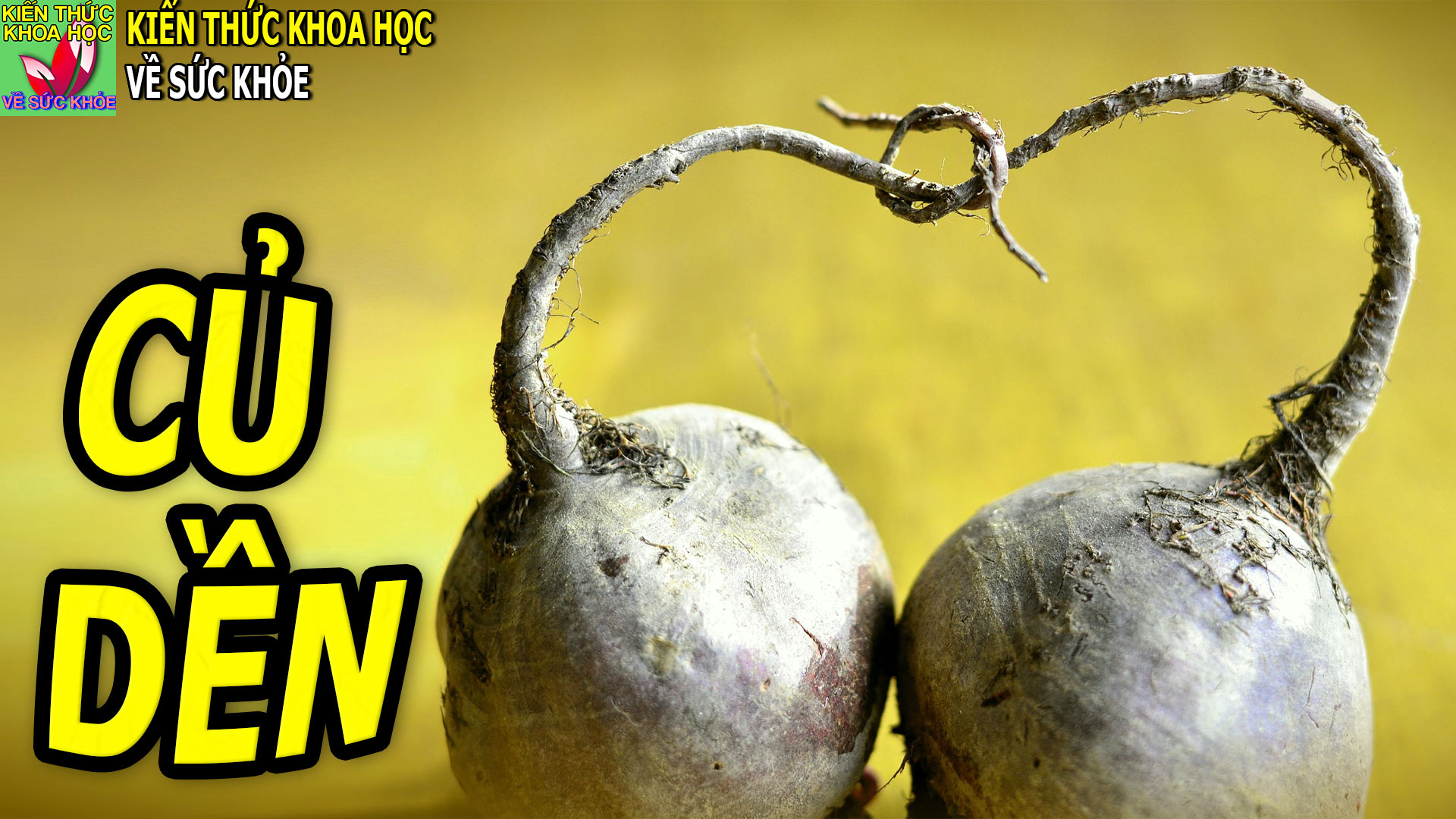 cu-den-co-tac-dung-gi