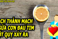 moi-sang-1-thia-phong-ngua-dau-tim-dot-quy