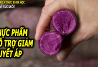 mon-an-vi-thuoc-bo-duong-giup-ho-tro-giam-huyet-ap-hieu-qua