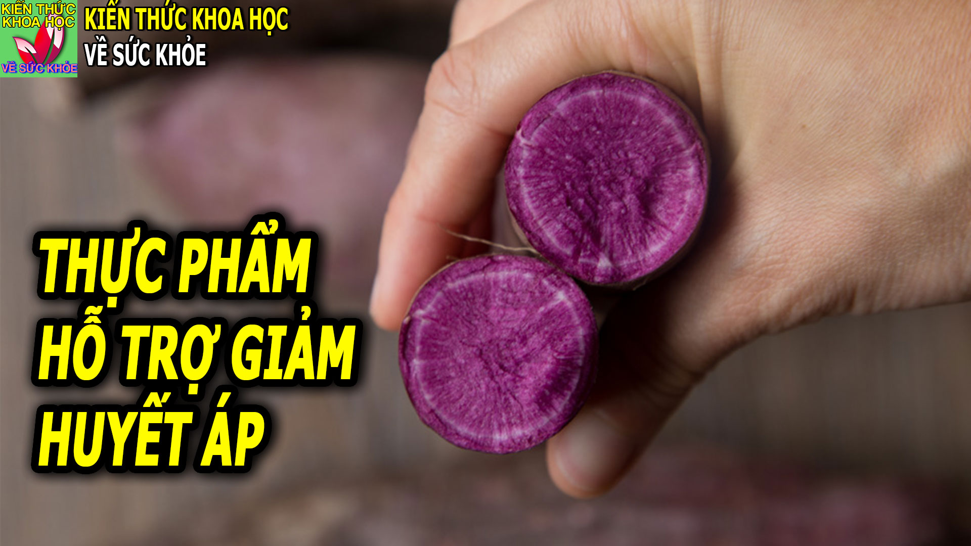 mon-an-vi-thuoc-bo-duong-giup-ho-tro-giam-huyet-ap-hieu-qua