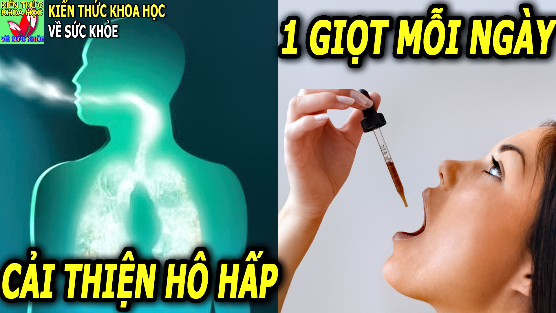 mot-giot-moi-ngay-thoi-bay-cac-van-de-ve-ho-hap