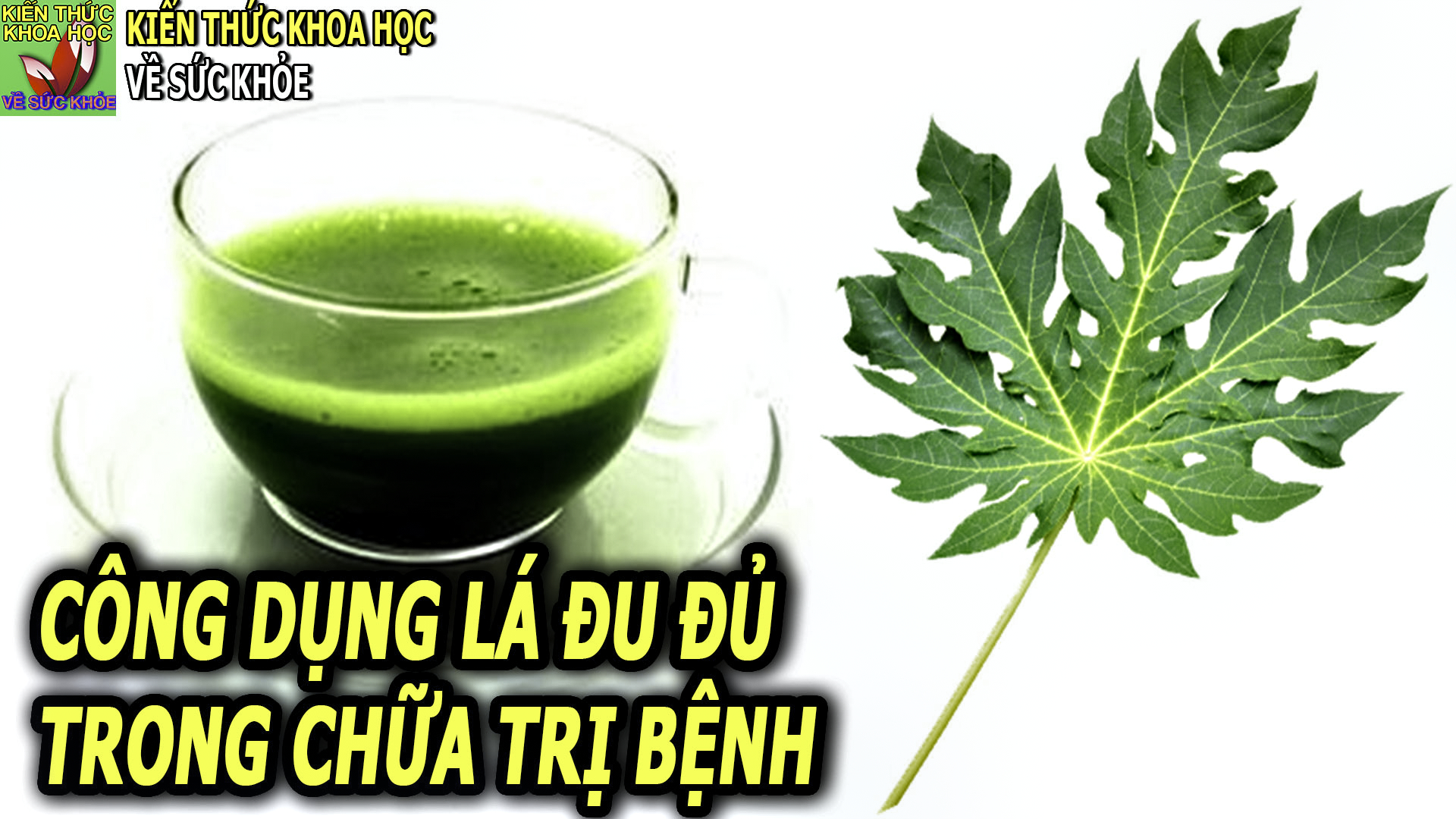 uong-nuoc-la-du-du-co-the-nhan-ve-15-loi-ich-suc-khoe-khong-ngo