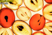 an-nho-an-luon-ca-hat-co-lam-sao-khong