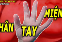 benh-tay-chan-mieng-dau-hieu-nguyen-nhan-va-cach-dieu-tri