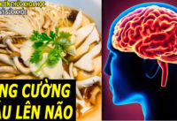 7-loai-thuc-pham-tang-cuong-mau-len-nao-giup-giam-hoa-mat-chong-mat-dau-dau