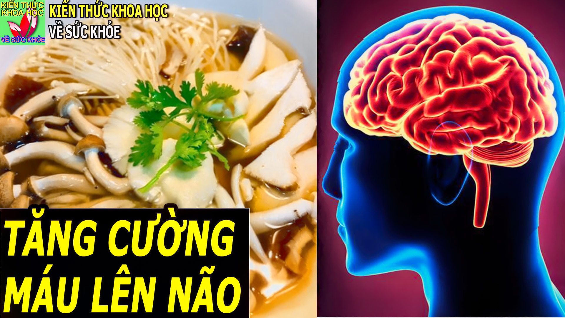 7-loai-thuc-pham-tang-cuong-mau-len-nao-giup-giam-hoa-mat-chong-mat-dau-dau