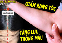 ngan-rung-toc-giam-dau-dau-hieu-qua-chi-vai-phut-moi-ngay