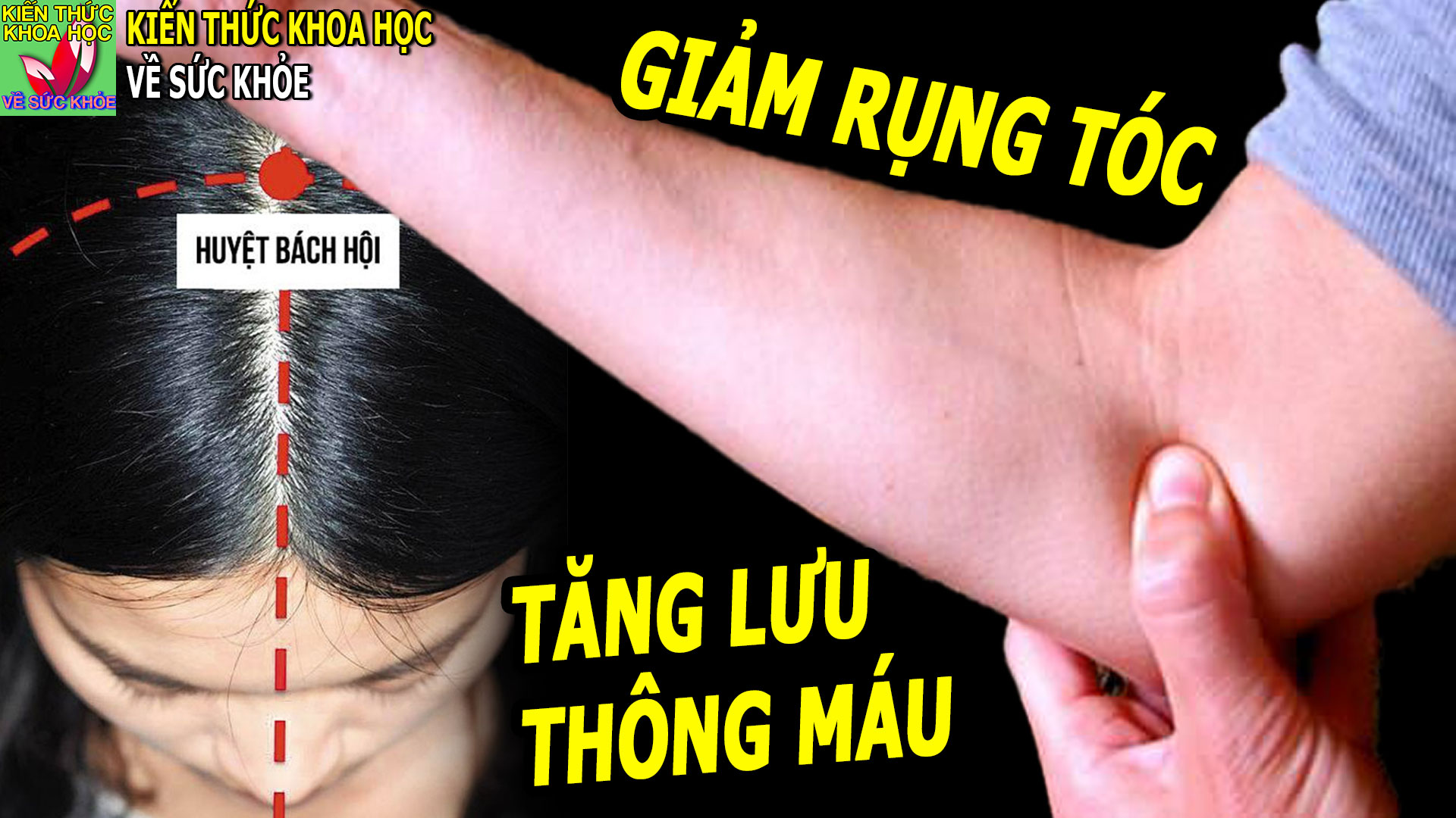 ngan-rung-toc-giam-dau-dau-hieu-qua-chi-vai-phut-moi-ngay