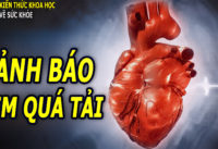 nguy-co-tim-bi-qua-tai-tu-nhung-nguyen-nhan-khong-ngo