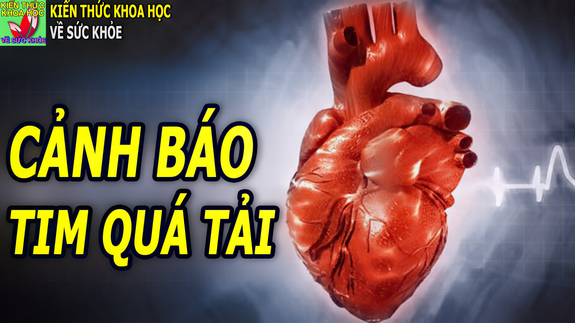 nguy-co-tim-bi-qua-tai-tu-nhung-nguyen-nhan-khong-ngo