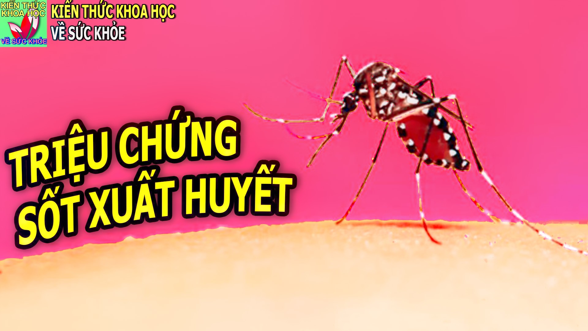 sot-xuat-huyet-co-bieu-hien-trieu-chung-gi