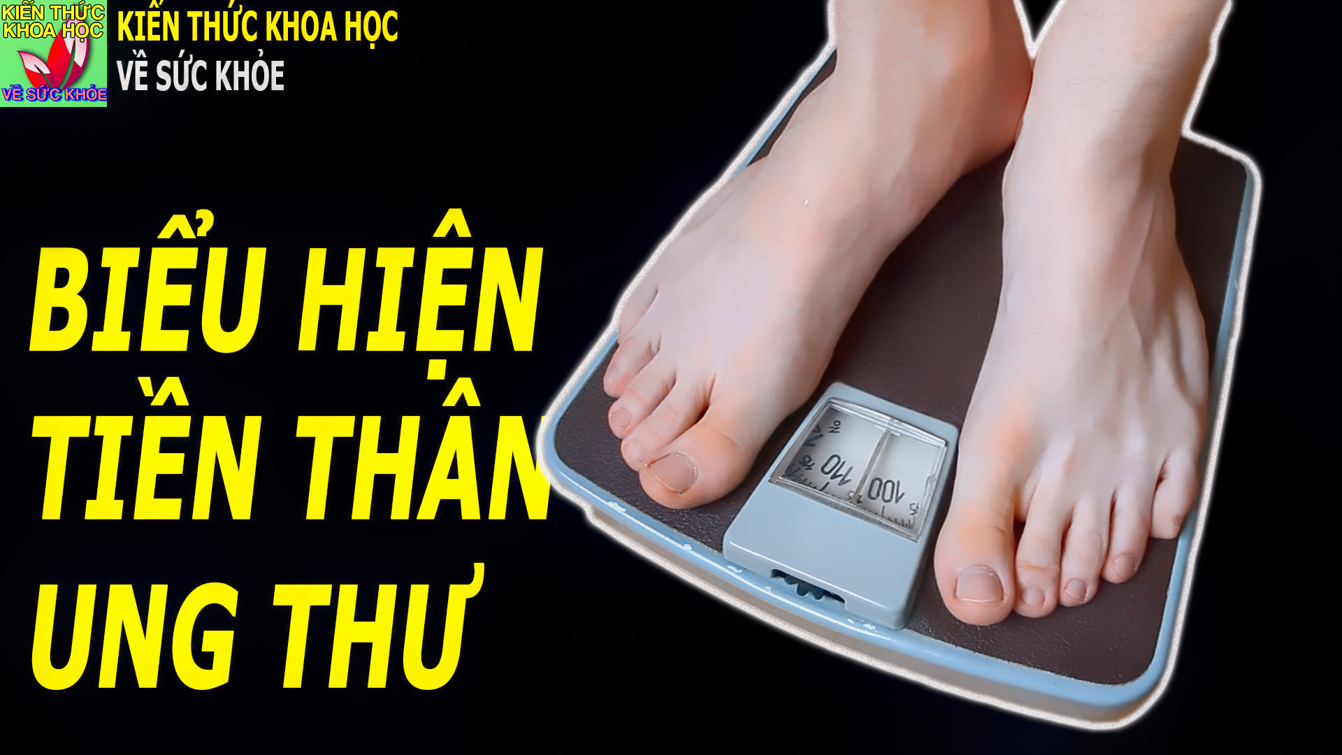 4-bieu-hien-cua-co-the-thuong-la-tien-than-cua-ung-thu