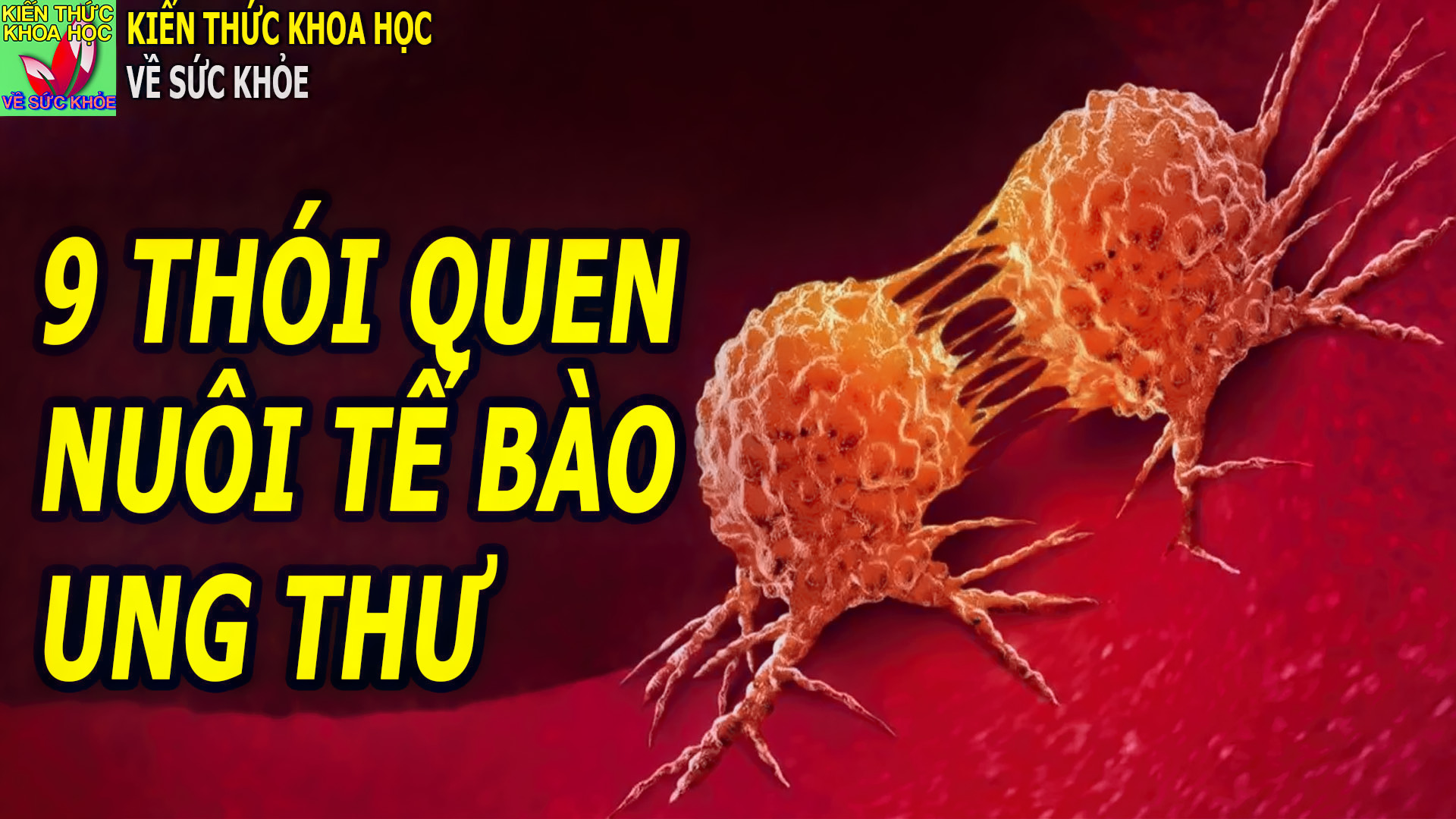 9-thu-thuong-ngay-nuoi-duong-te-bao-ung-thu