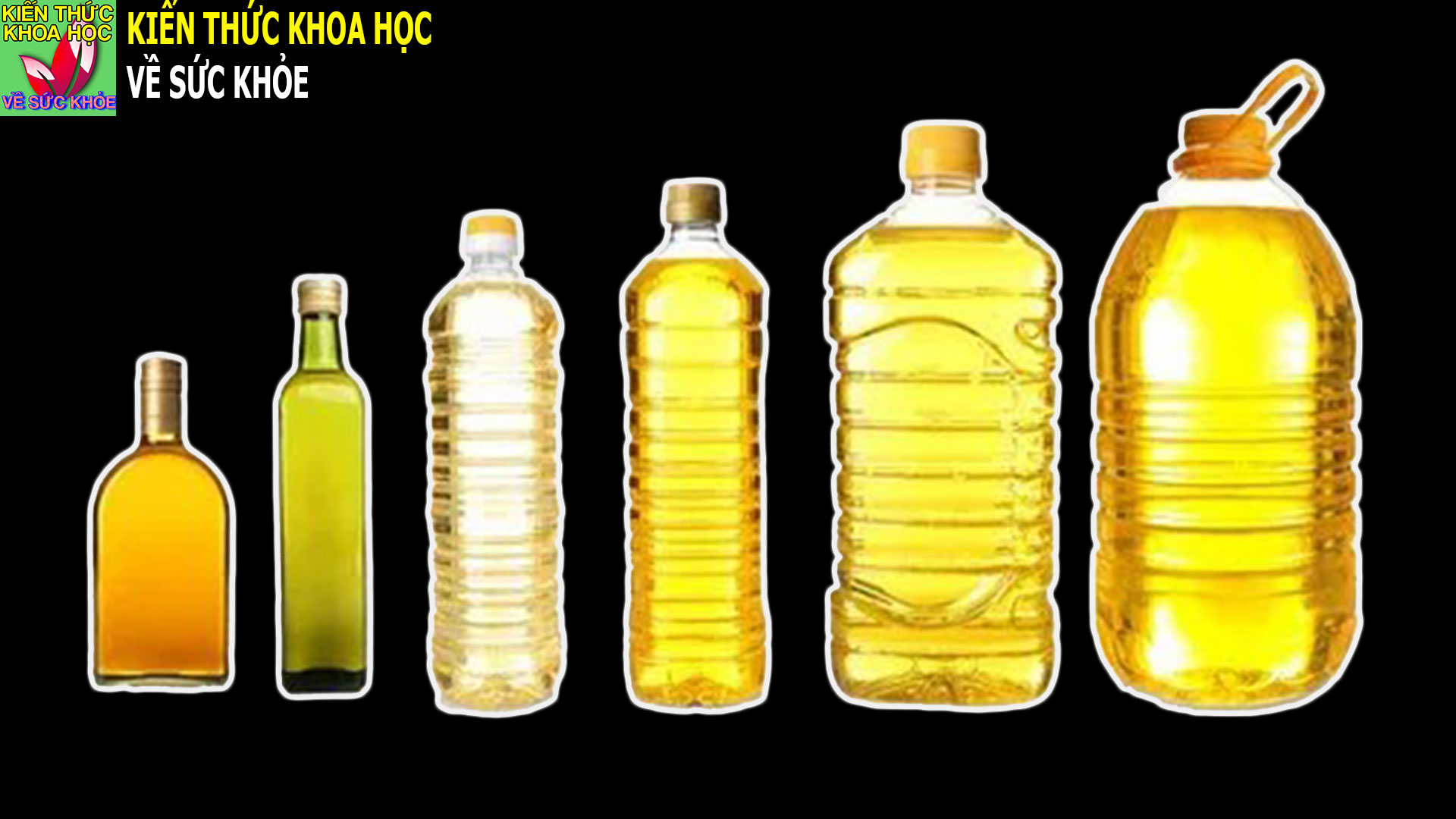 dau-an-nao-tot-cho-suc-khoe